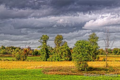 First Day Of Autumn_28156.jpg - Photographed near Rideau Ferry, Ontario, Canada.